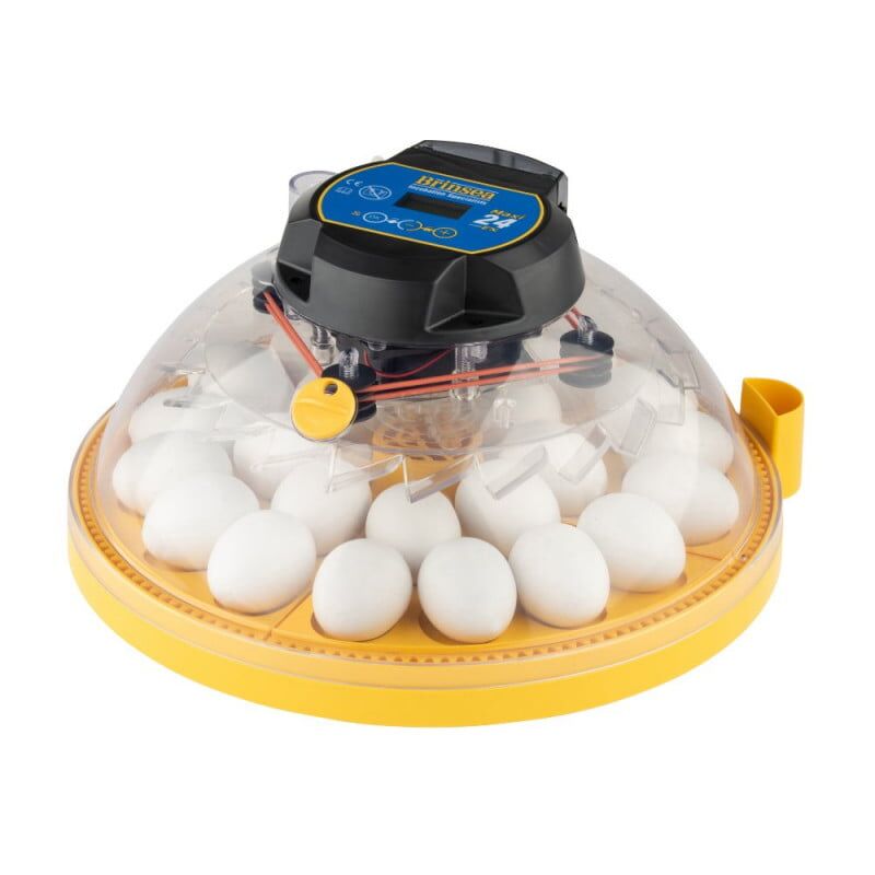 zoom_NEW_-_Maxi_24_EX_Incubator