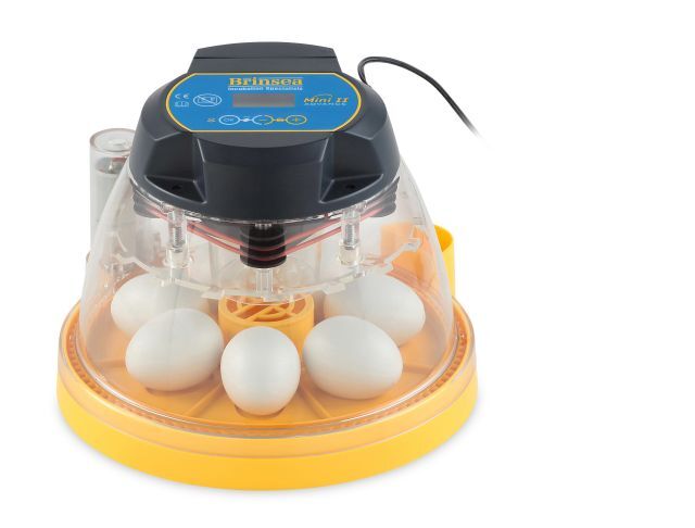 Brinsea_Mini_IIAdv_front_0666 LR